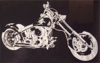 Picture of your bike, car, truck,.. sewn on a flag