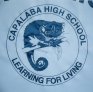 school banner - Capalaba