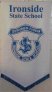 Ironside State School banner, sewn by Artelina Sewn Flags